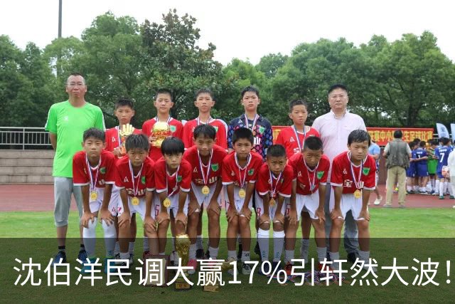 沈伯洋民调大赢17%引轩然大波！彭文正：台湾民调越来越像算命