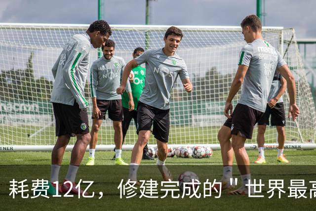 耗费12亿，修建完成的＂世界最高佛＂，如今却拜不起，水喝不起